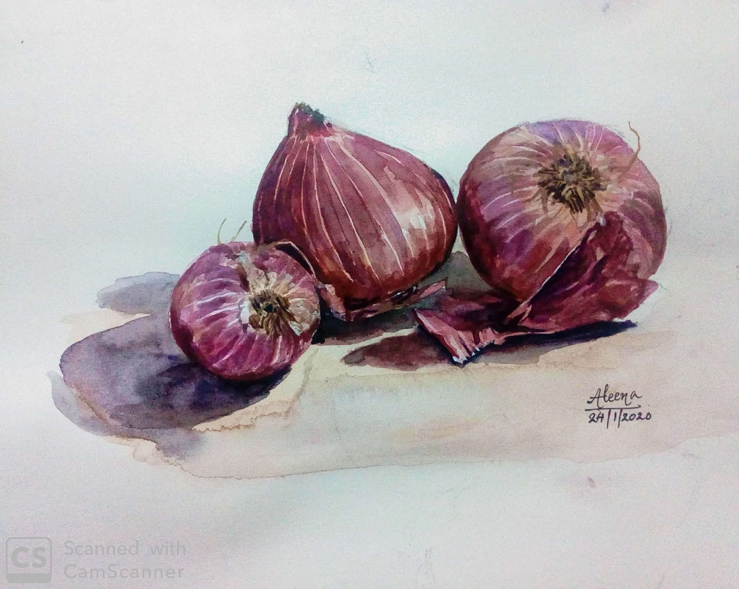 Aleena Sherin Philip