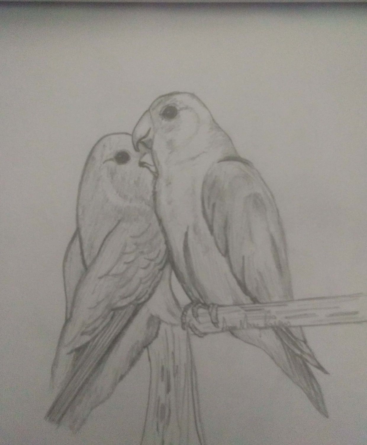 Drawing by Ann Mary Rajan 07