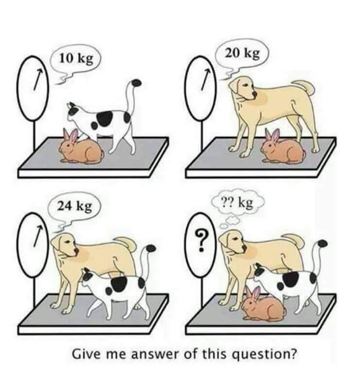 Please Answer this Question