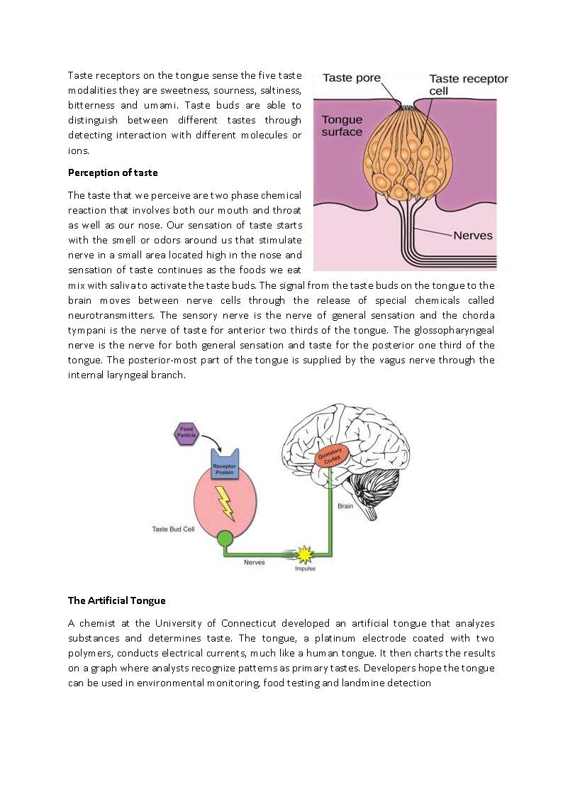 THE PERCEPTION OF TASTE PDF_Page_2