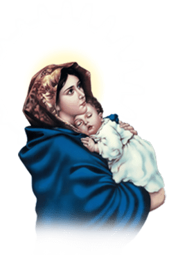 Mother Mary PNG 22