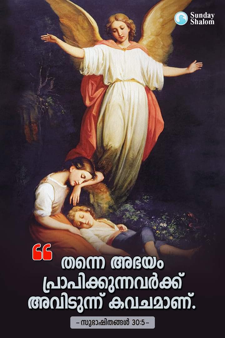 Word of God Status Image, Proverbs 30, 5