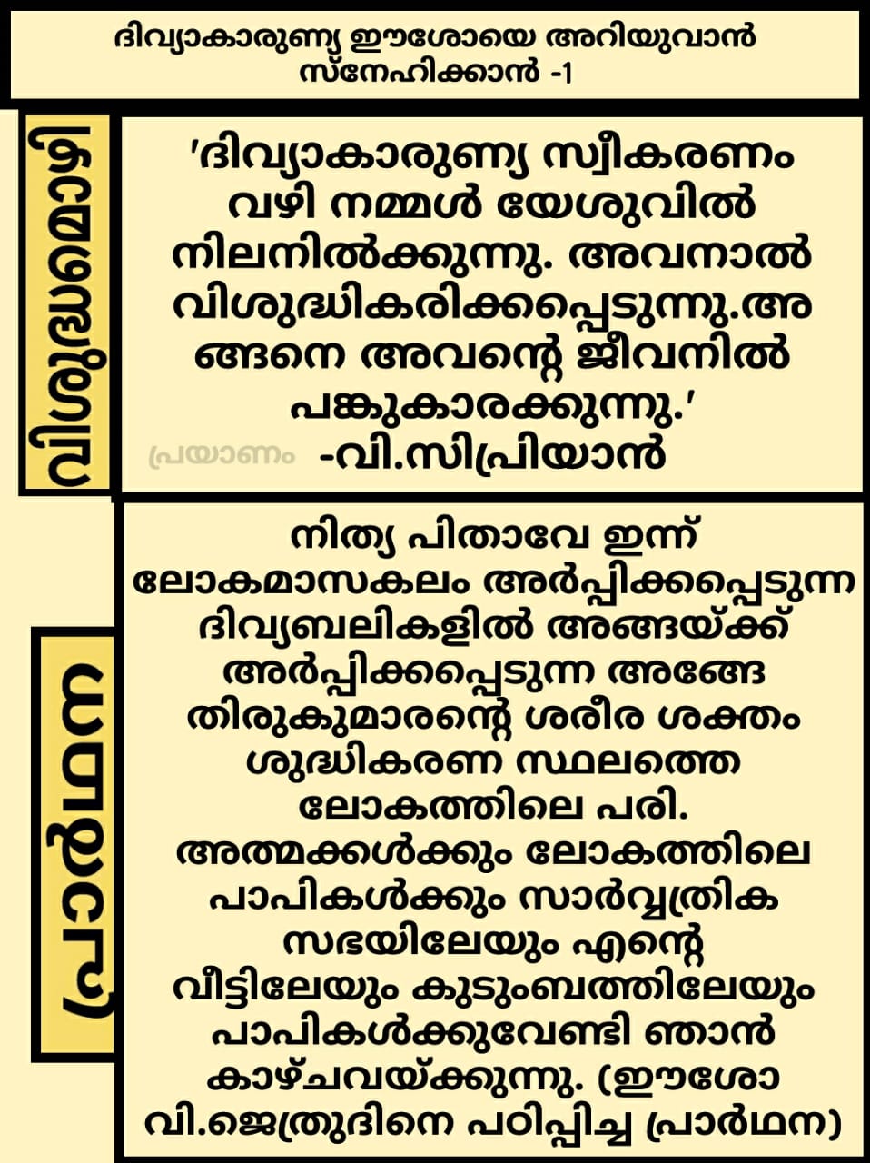 First Eucharistic Miracle in Egypt 2