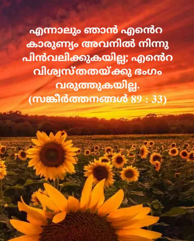 God's Mercy is Eternal, Bible Status Image