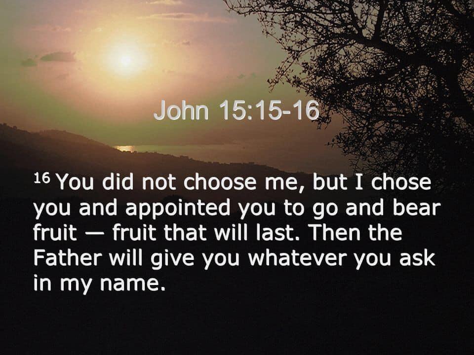 You did not... but I Chose you