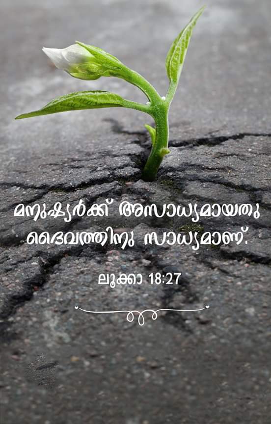 Daivathinu Sadhyamanu, Bible Status Image