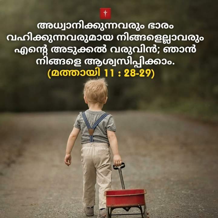 Njan Ningale Aswasippikkam, Bible Status Image