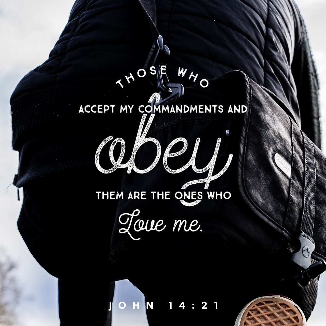Obey if you Love Him, Bible Status Image