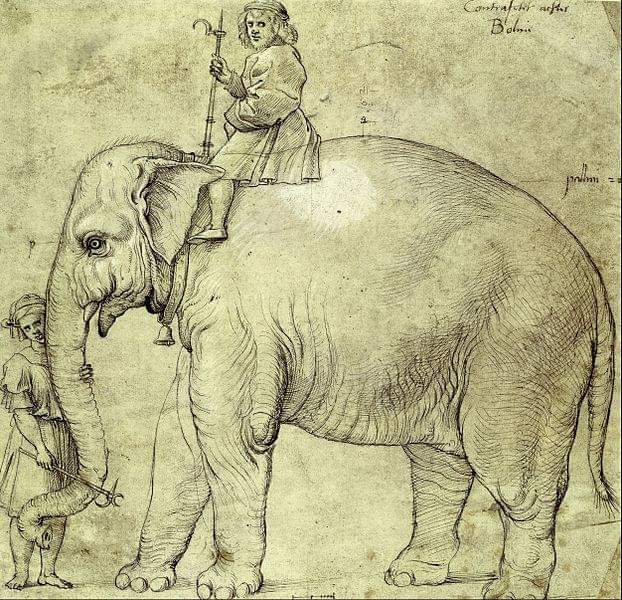 Pope's Elephant