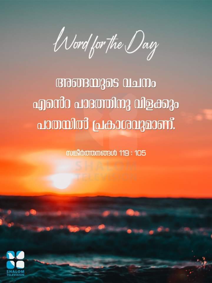 Word of God is My Light, Bilbe Staus Image