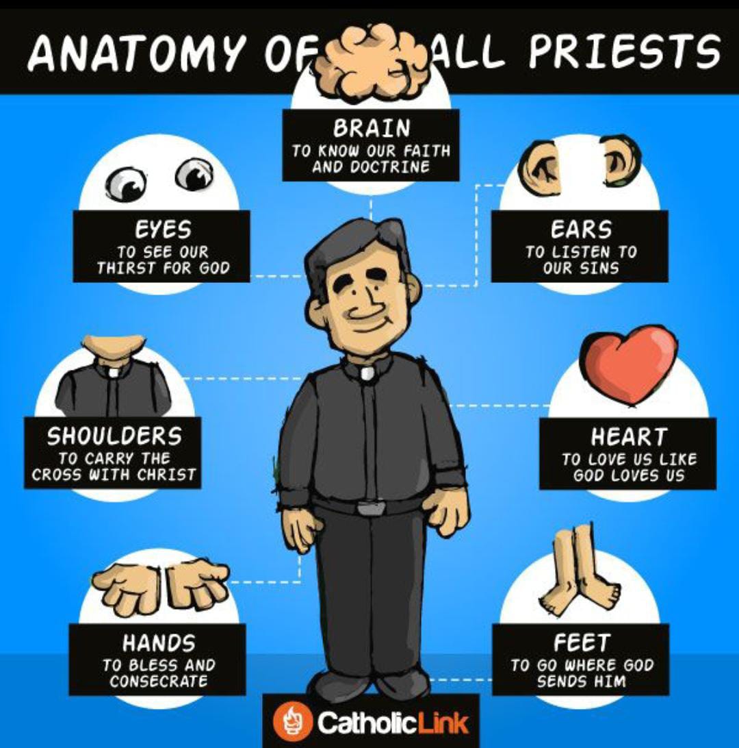 Anatomy of all Priests