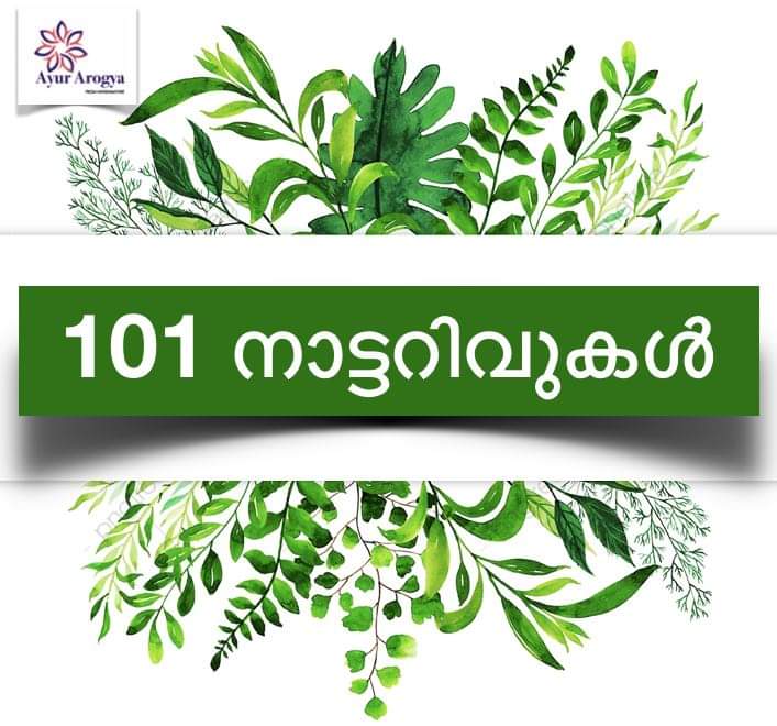 101 Nattarivukal | 101 നാട്ടറിവുകൾ