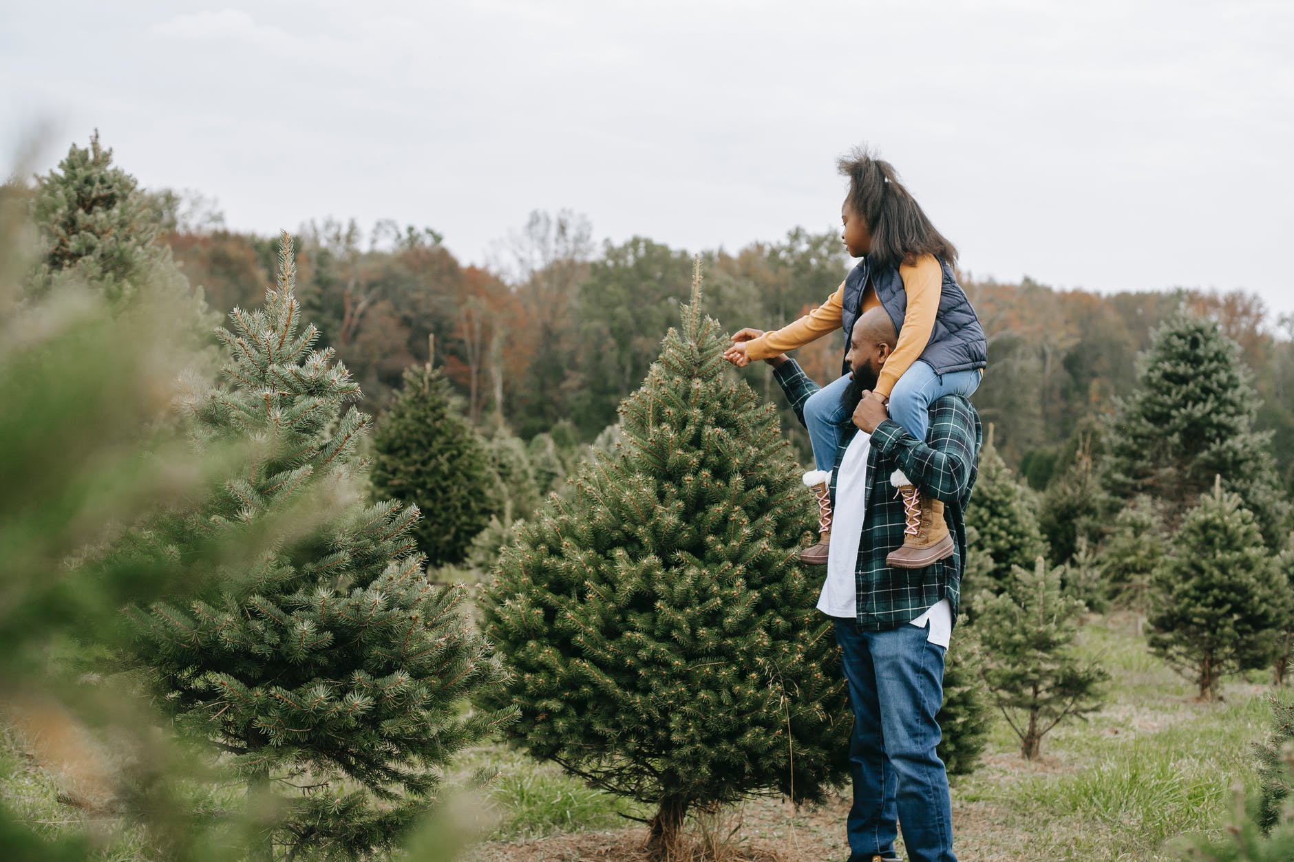 Eco-Friendly Christmas Ideas