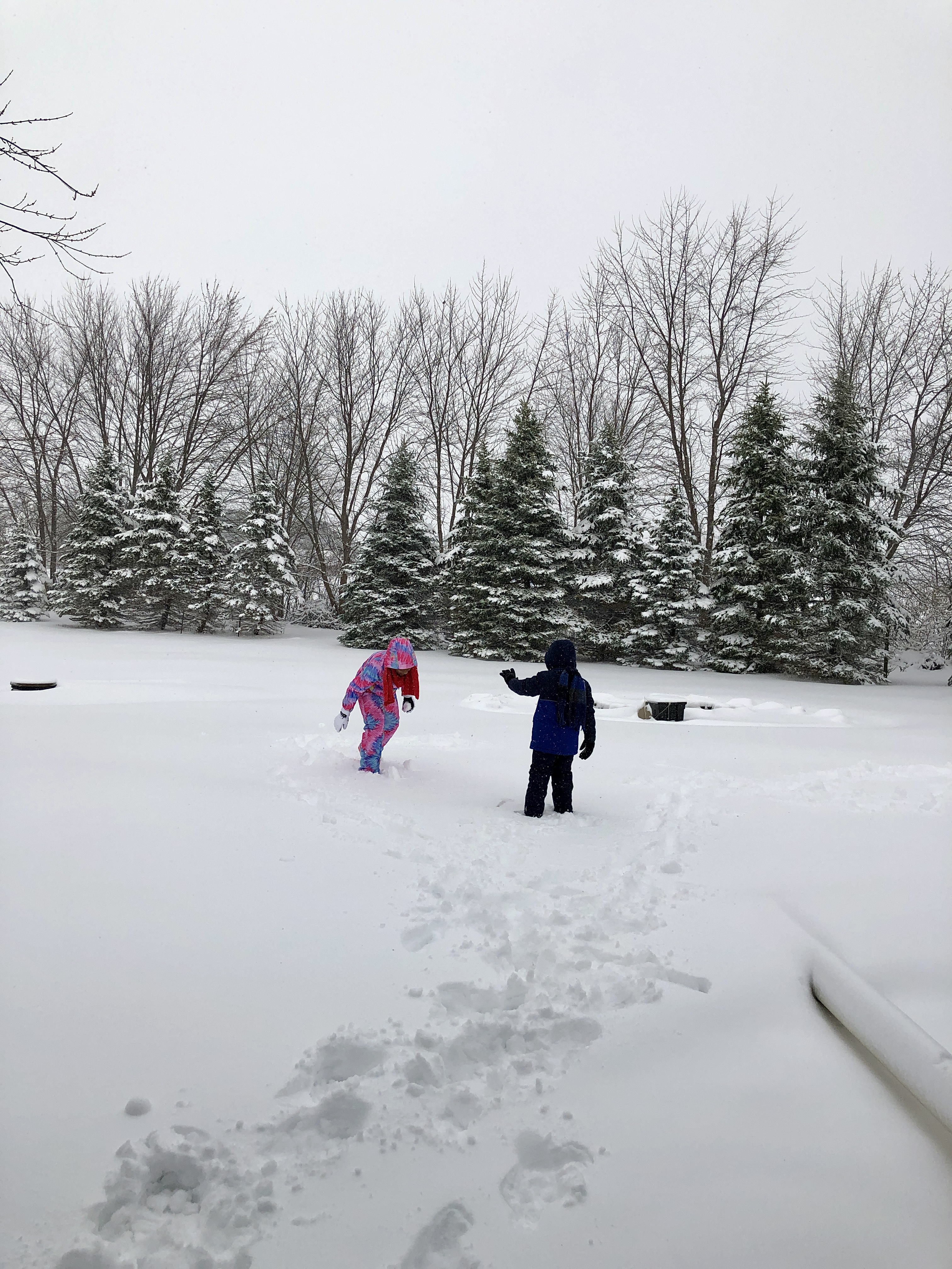 59856E73-A9C1-414B-B2E1-3C1981519729