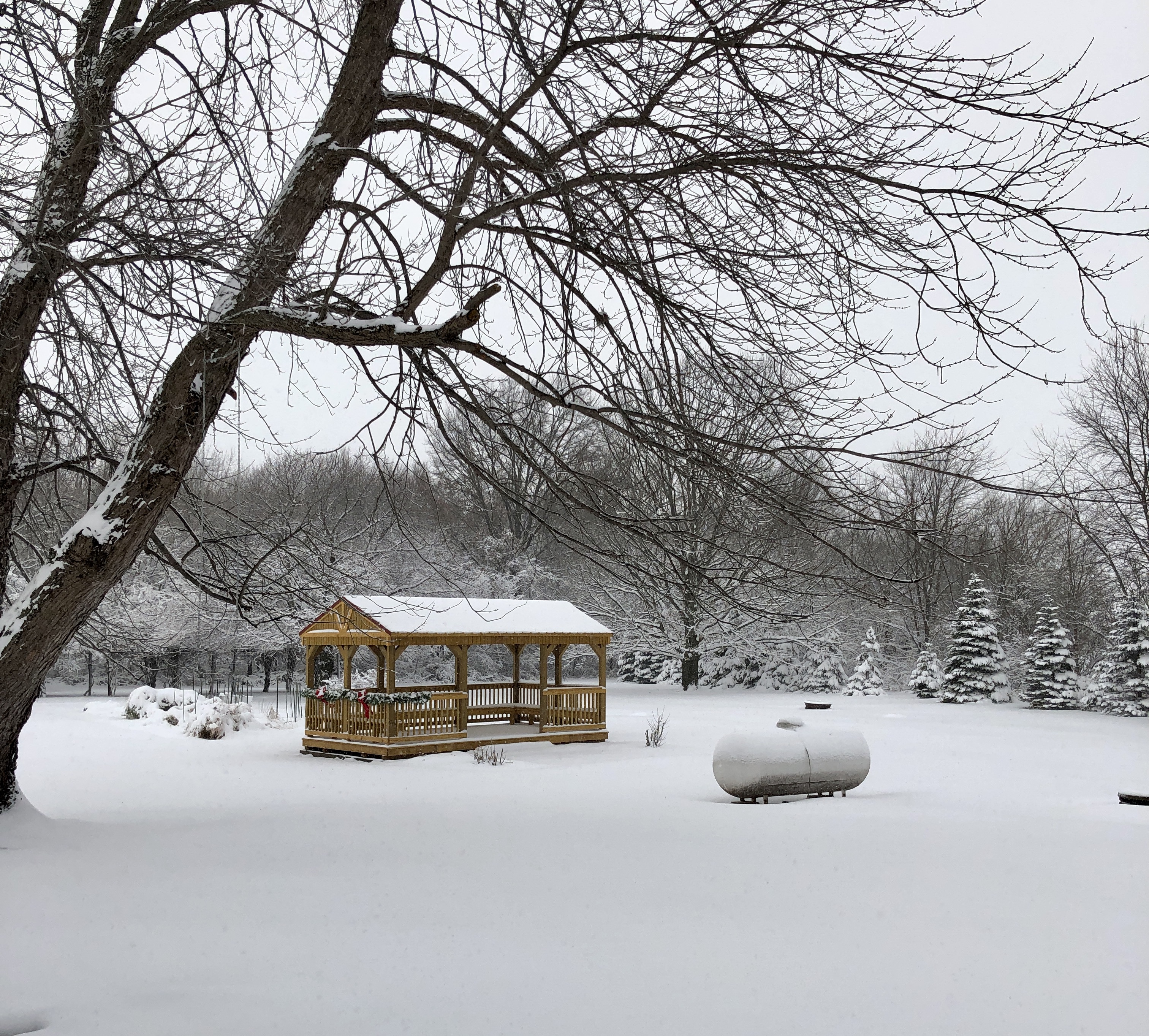 CF88C7A0-D7EA-46E8-BF87-794339D6F191