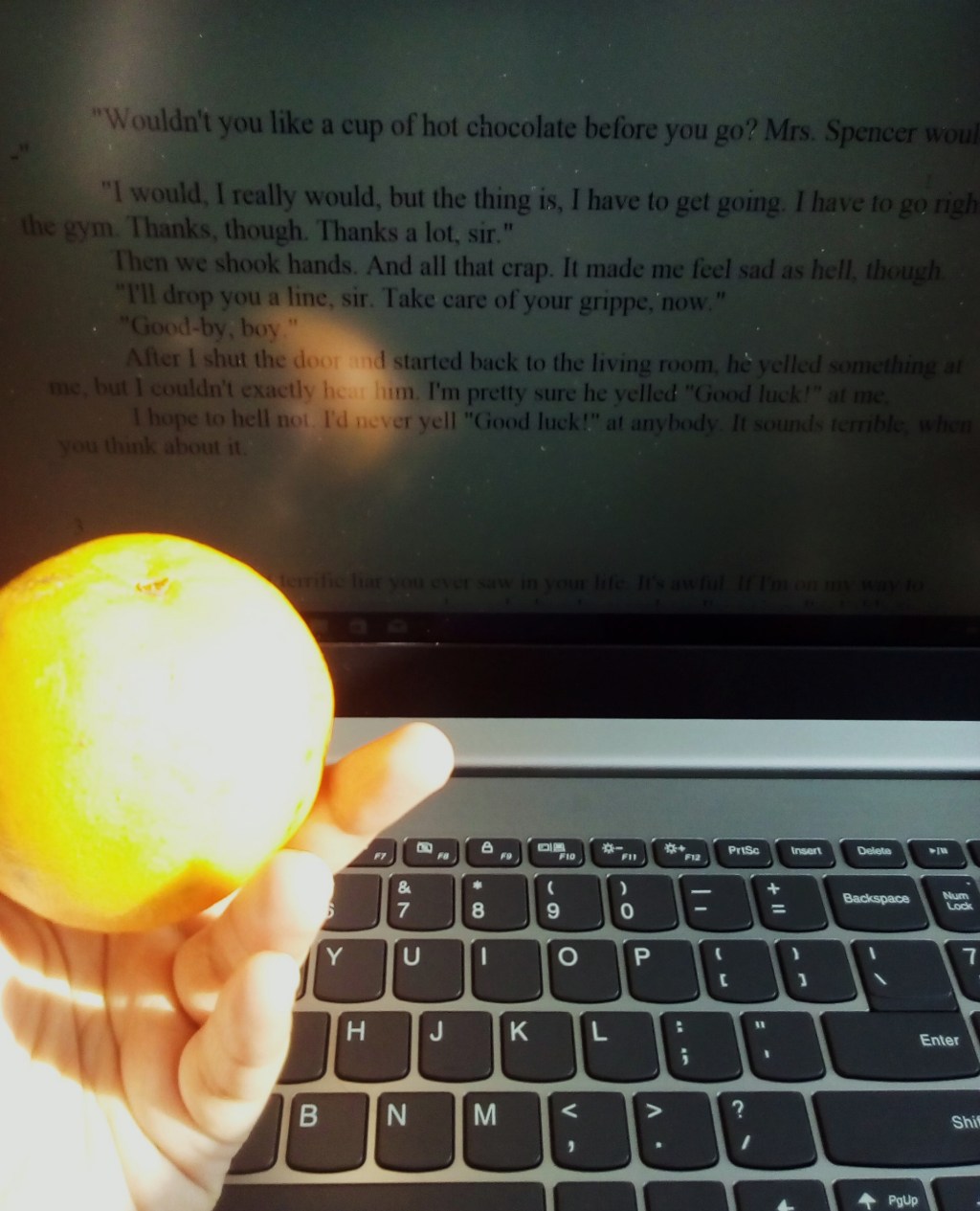 7 Things I’m grateful for (other than Oxygen)&nbsp;(11/12/2020)