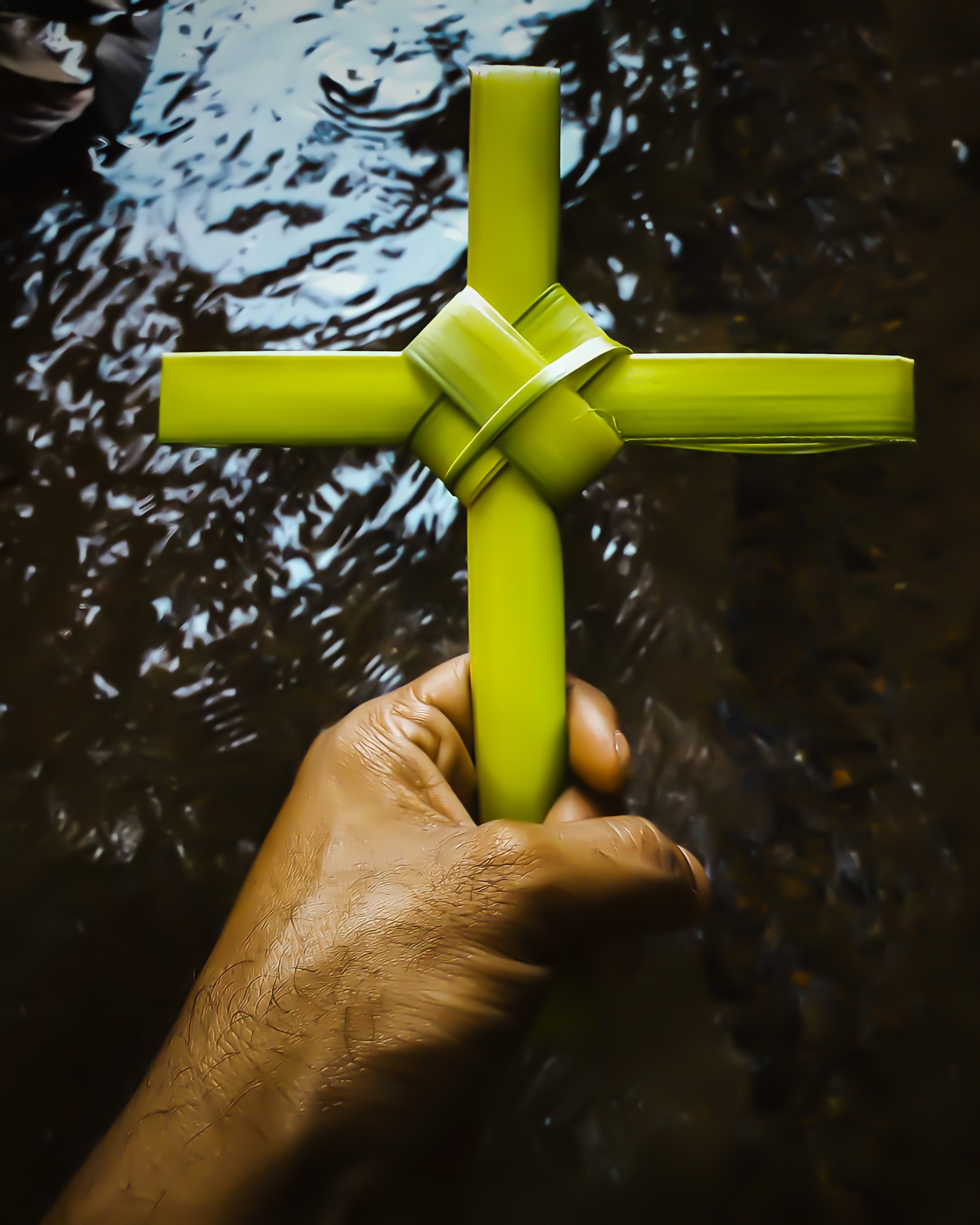 Palm Sunday – Photography Wallpaper in High Definition