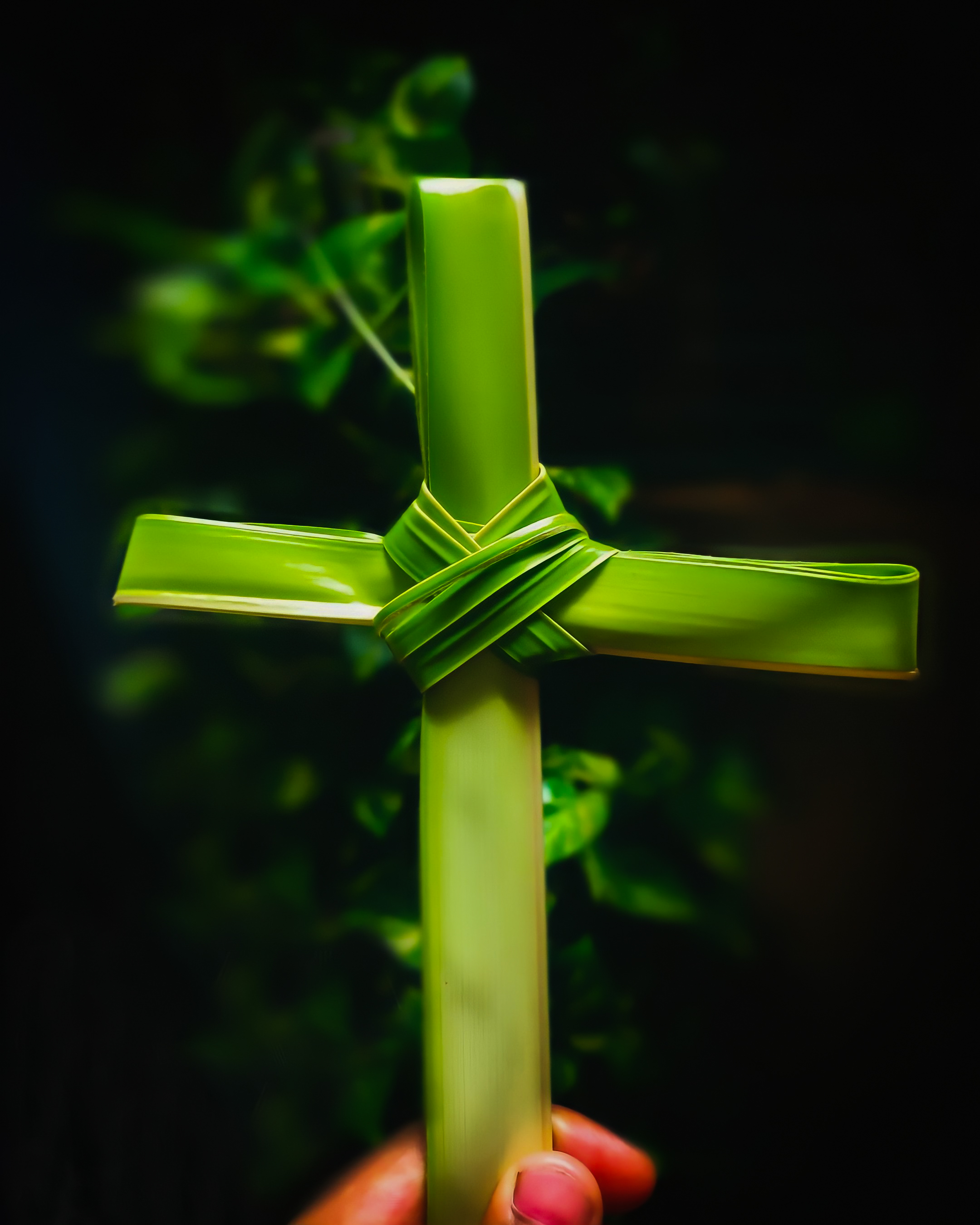 Palm Sunday Prayer at Home (Malayalam)