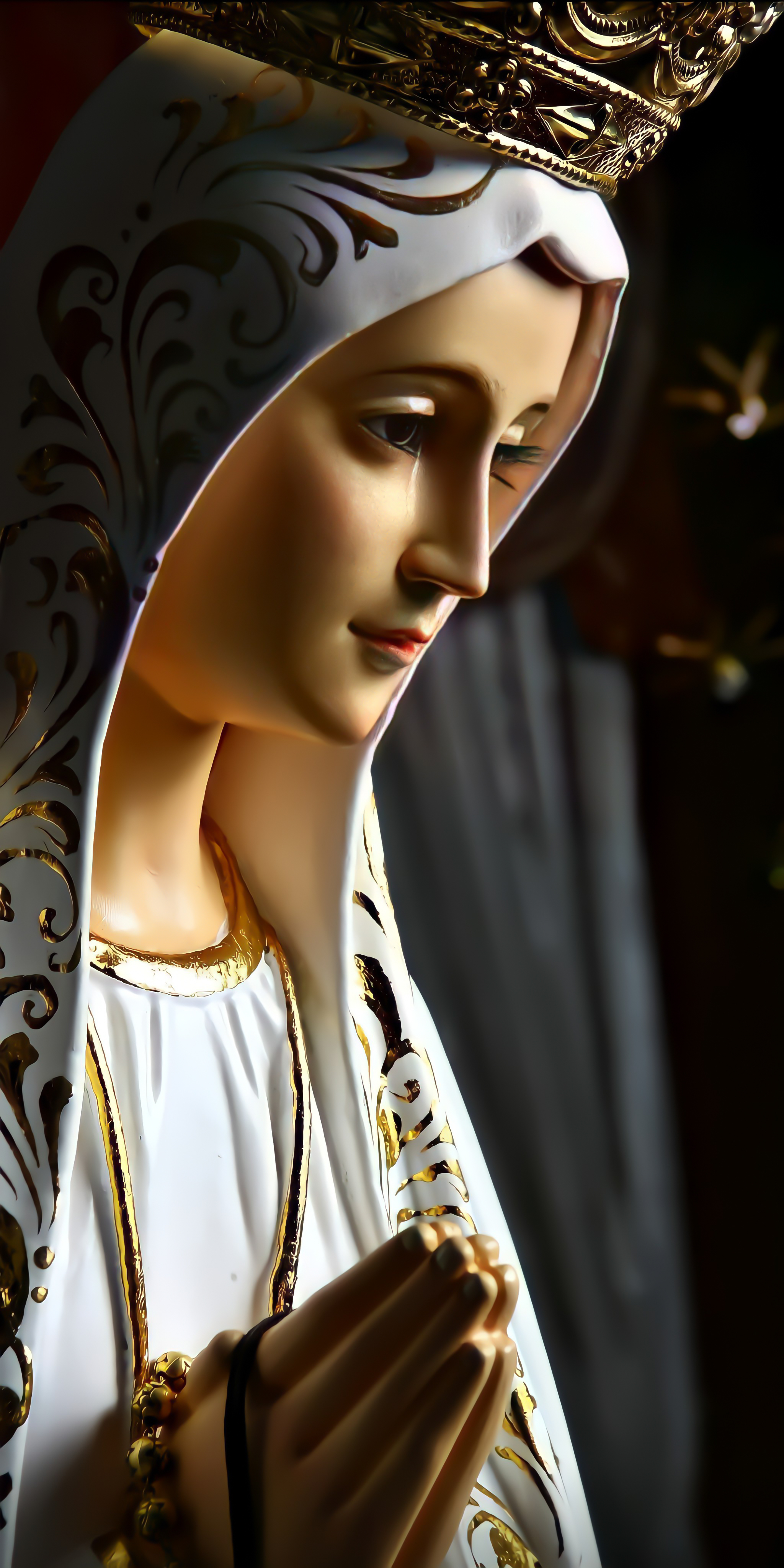 Hail Holy Queen