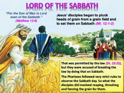 LORD OF THE SABBATH (Matthew 12:1-8) | A CHRISTIAN PILGRIMAGE