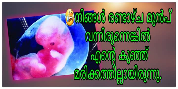 താൻ രണ്ടാഴ്ച മുൻപ് വന്നിരുന്നെങ്കിൽ…