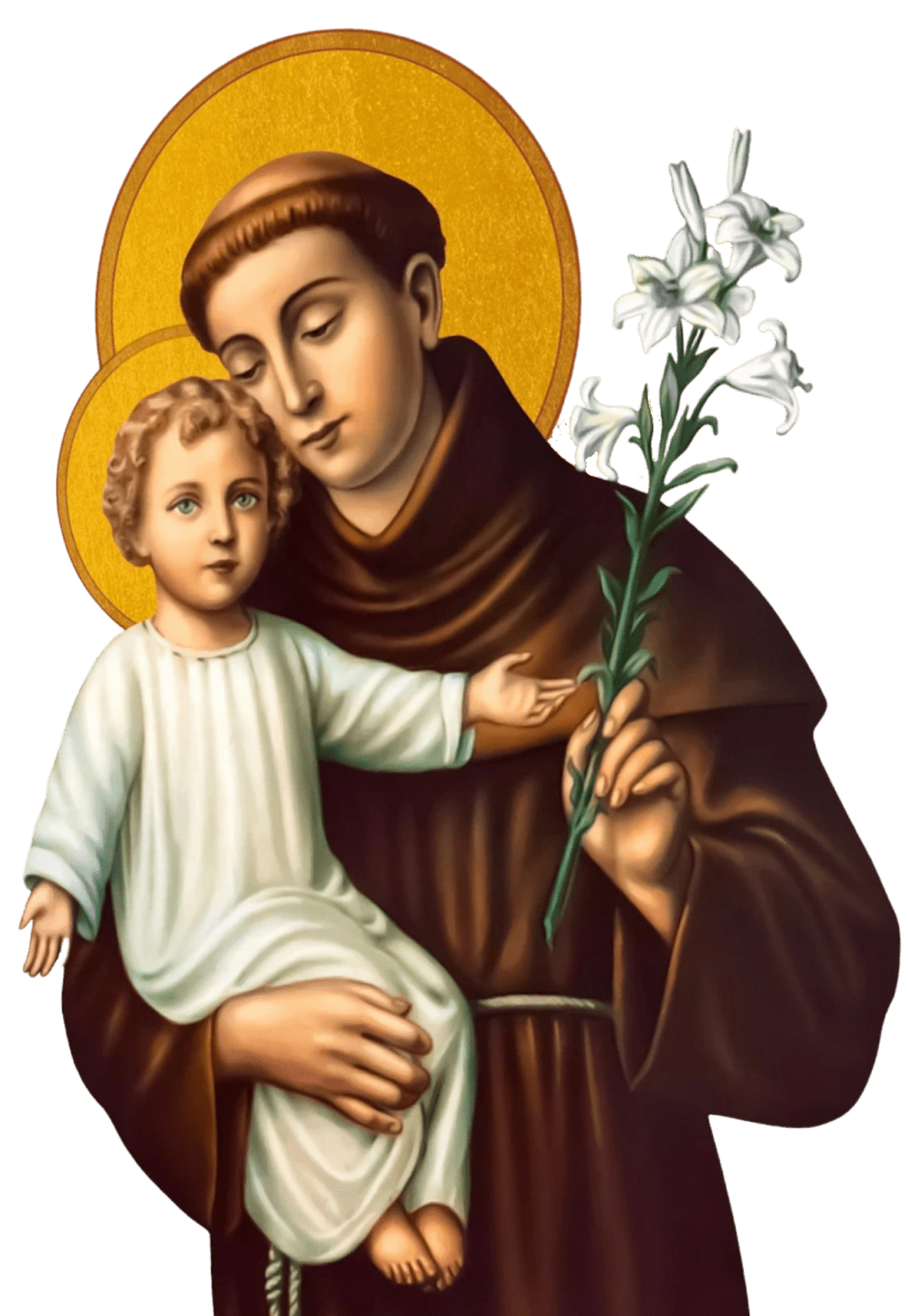 June 13 പാദുവായിലെ വിശുദ്ധ&nbsp;അന്തോണീസ്‌