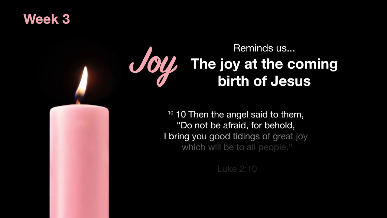 REFLECTION CAPSULE – Matthew 11, 2-11