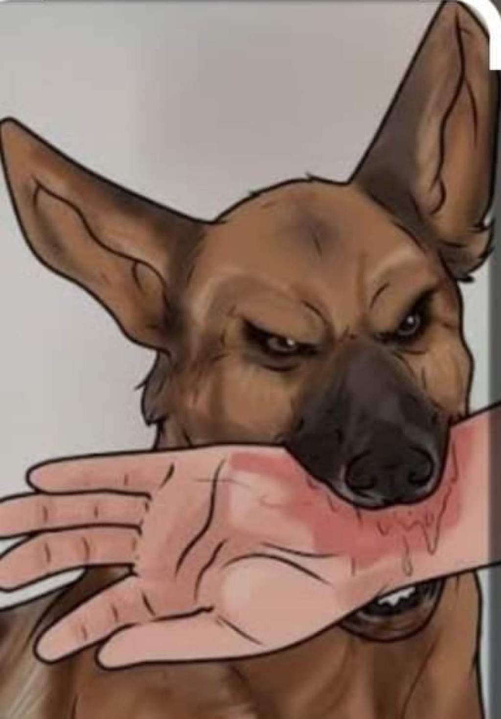 പേപ്പട്ടി കടിച്ചാൽ എന്ത് ചെയ്യണം | First Aid&nbsp;Tip