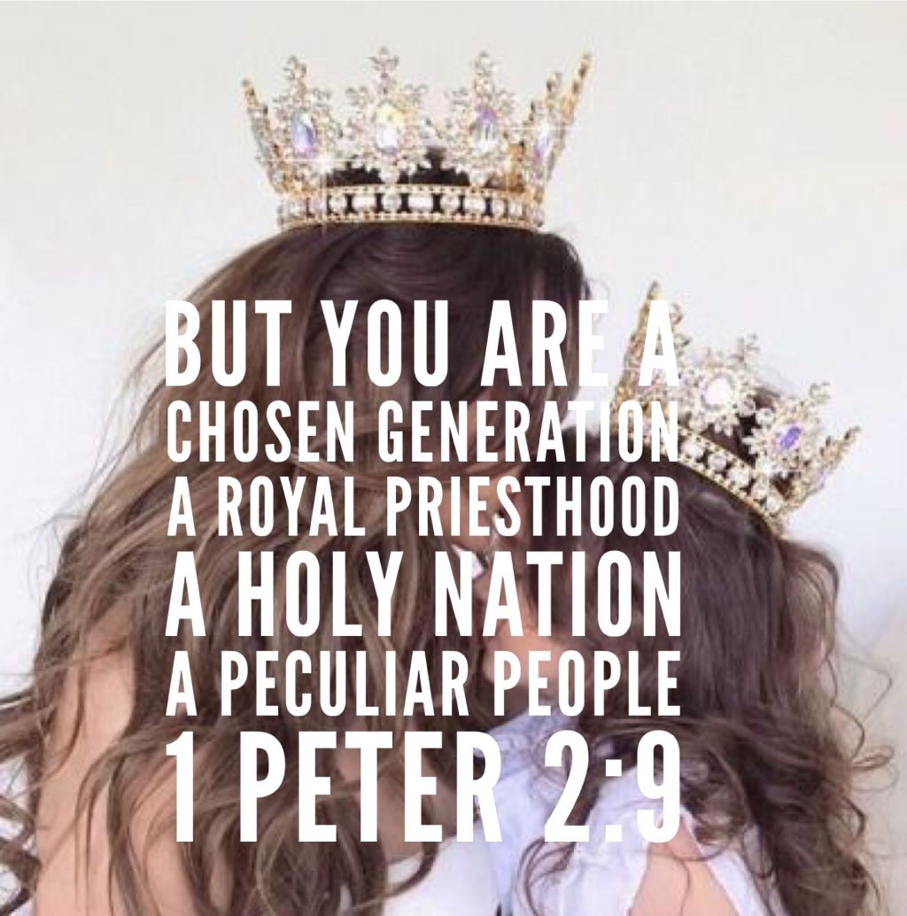 പ്രോട്ടോക്കോൾ നമ്മളും പാലിച്ചേ&nbsp;പറ്റൂ!