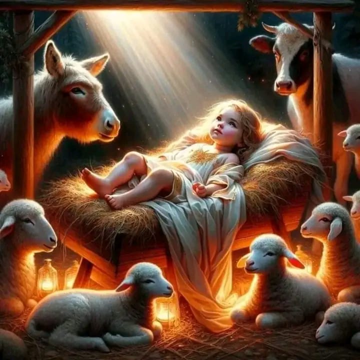 പുൽക്കൂട്ടിലേക്കൊരു യാത്ര | Day&nbsp;19