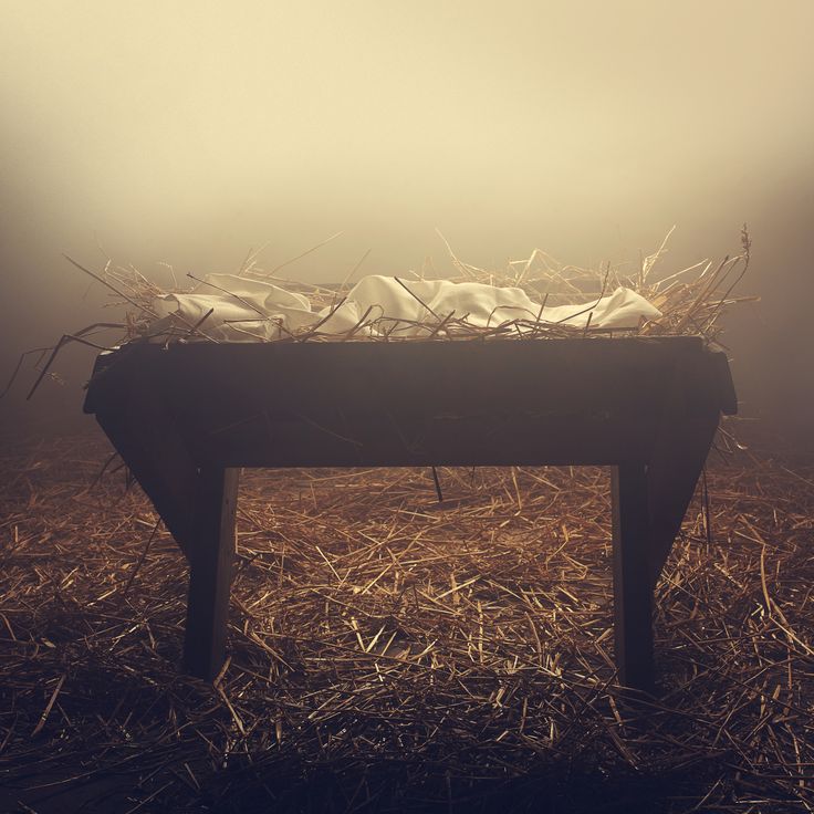 പുൽക്കൂട്ടിലേക്കൊരു യാത്ര | Day&nbsp;6