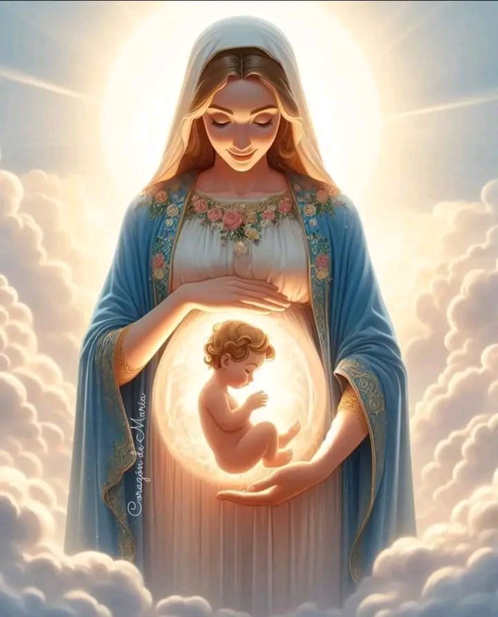 പുൽക്കൂട്ടിലേക്കൊരു യാത്ര | Day&nbsp;23