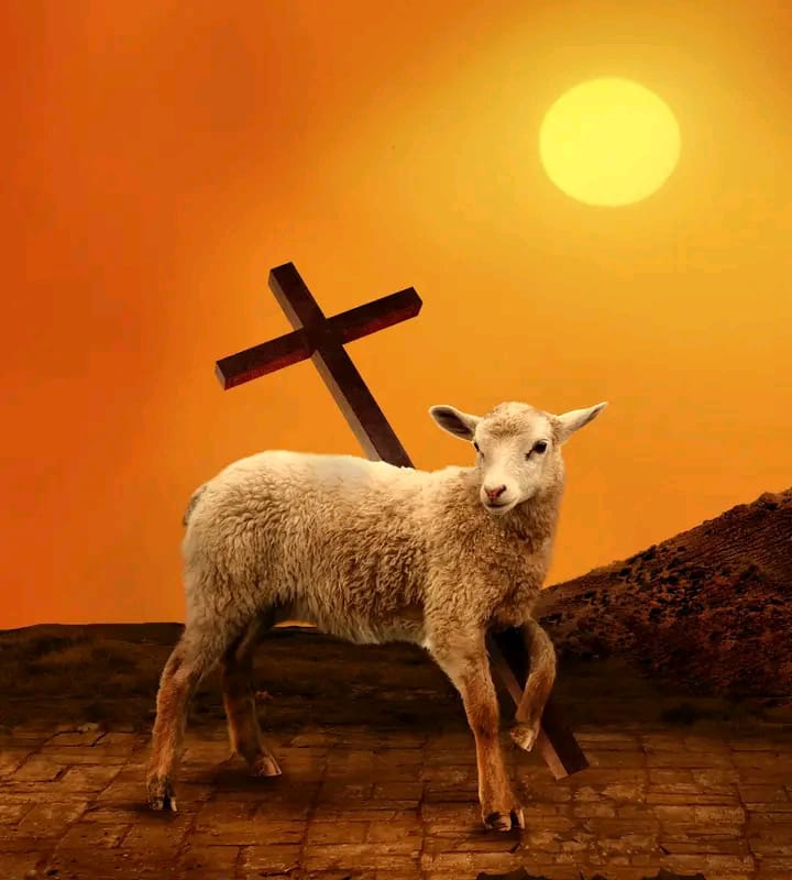 ക്രൂശിതനിലേക്ക് | Day&nbsp;12