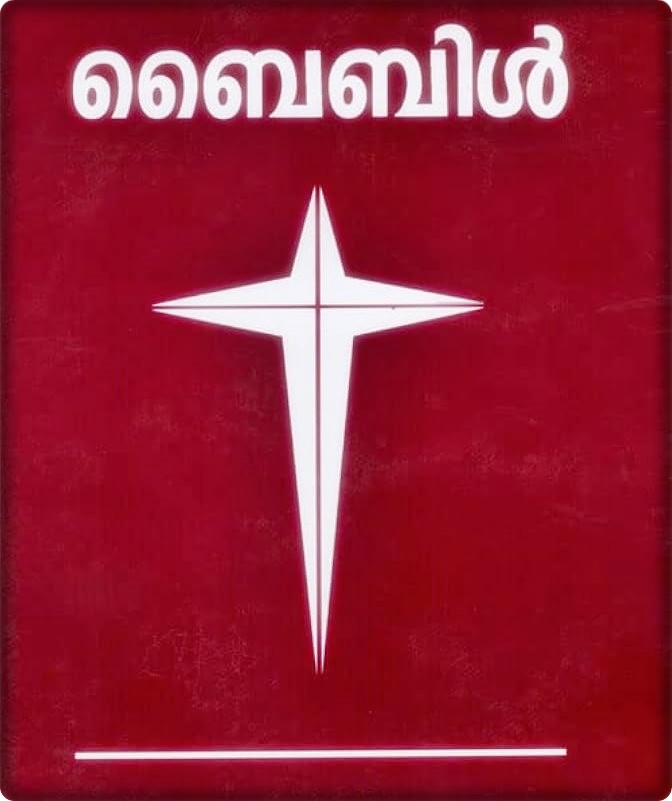 The Bible in a Year with Fr Daniel Poovannathil |&nbsp;Malayalam