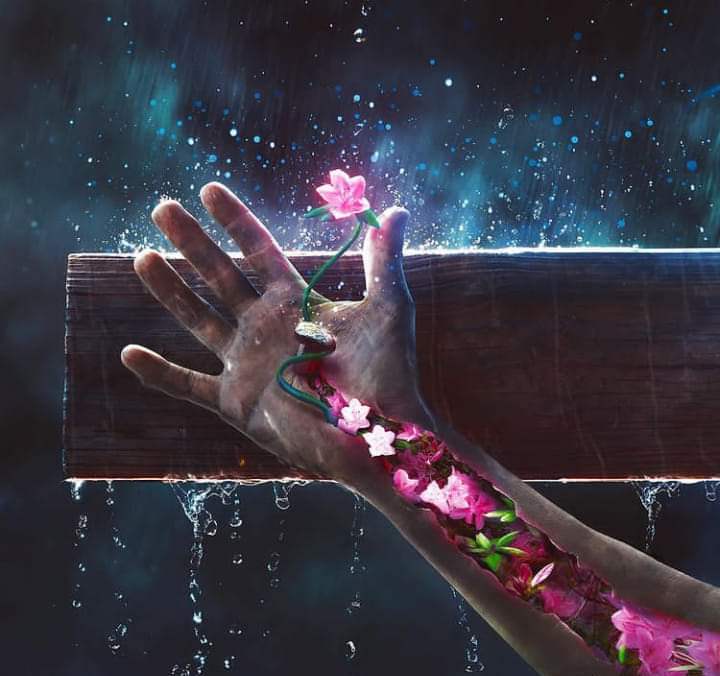 സ്നേഹം മുറിവേറ്റ ദിനം