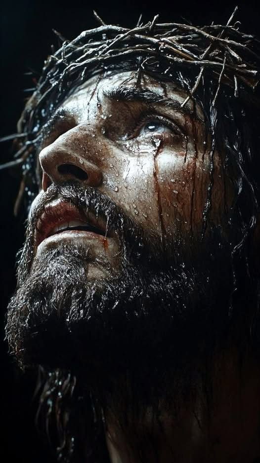 ക്രിസ്തുവിന്റെ മുഖത്തേക്ക് നോക്കൂ…