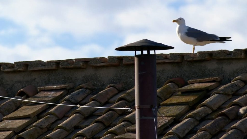 When We See the White&nbsp;Smoke…