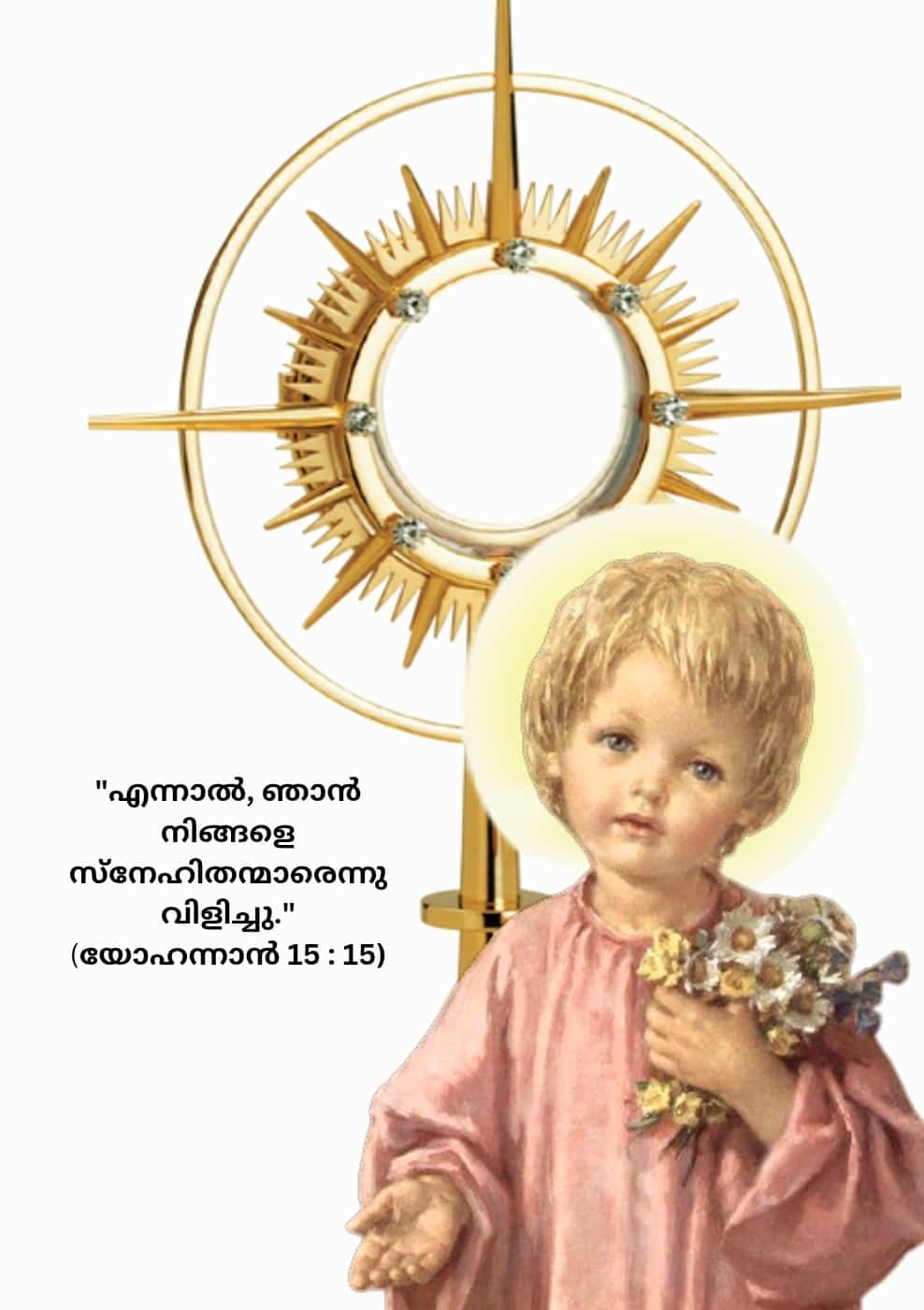 John 15, 15 | യോഹന്നാൻ 15,&nbsp;15