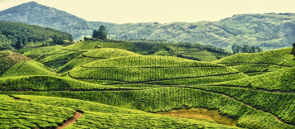 Kerala Piravi Day&nbsp;Speech