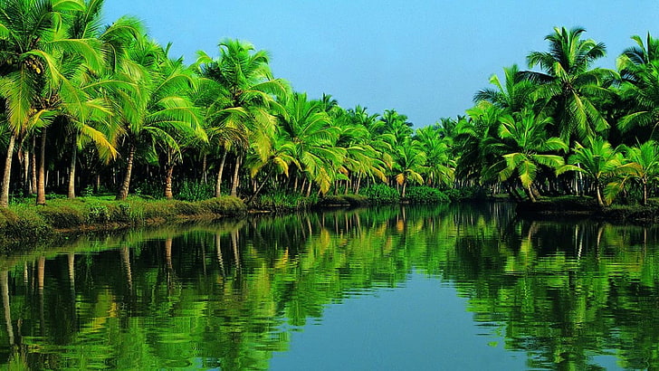 കേരളപ്പിറവി ദിന പ്രസംഗം&nbsp;🌴💚