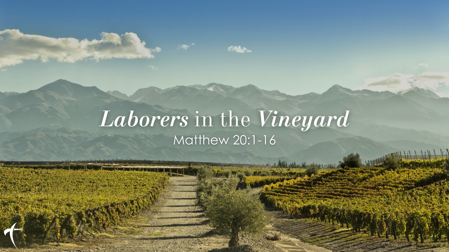 Matthew 20:1-16 | Discovering Life in God’s Vineyard