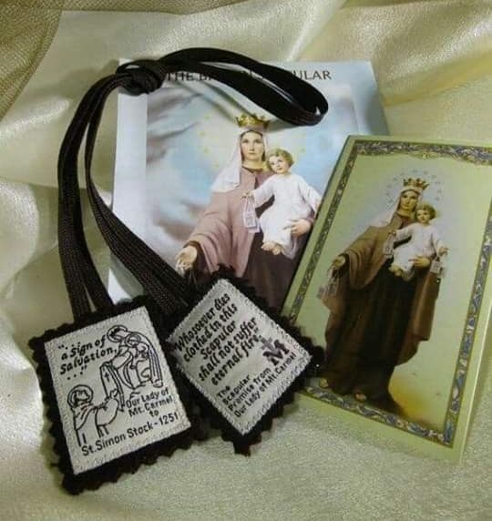 THE POWER AND GREAT MIRACLES OF OUR LADY’S BROWN&nbsp;SCAPULAR