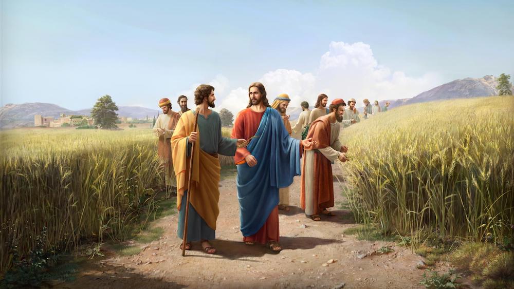Matthew 12:1–8 | Jesus and the Conflicts of&nbsp;Faith