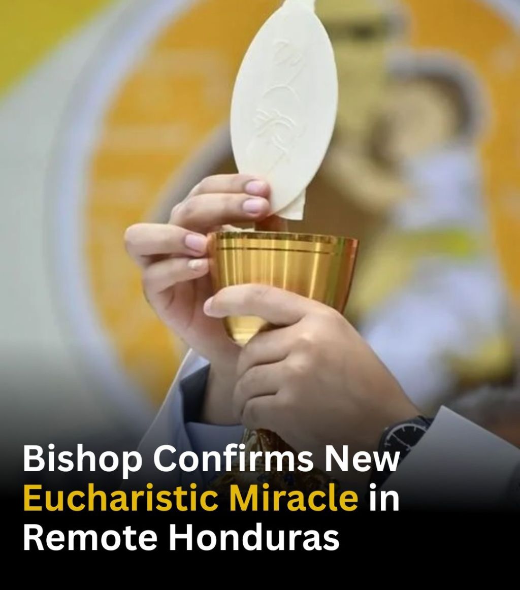 𝗘𝘂𝗰𝗵𝗮𝗿𝗶𝘀𝘁𝗶𝗰 𝗺𝗶𝗿𝗮𝗰𝗹𝗲 𝗶𝗻 𝗟𝗮𝘁𝗶𝗻&nbsp;𝗔𝗺𝗲𝗿𝗶𝗰𝗮