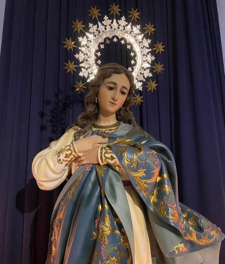 UNDERSTANDING THE IMMACULATE CONCEPTION