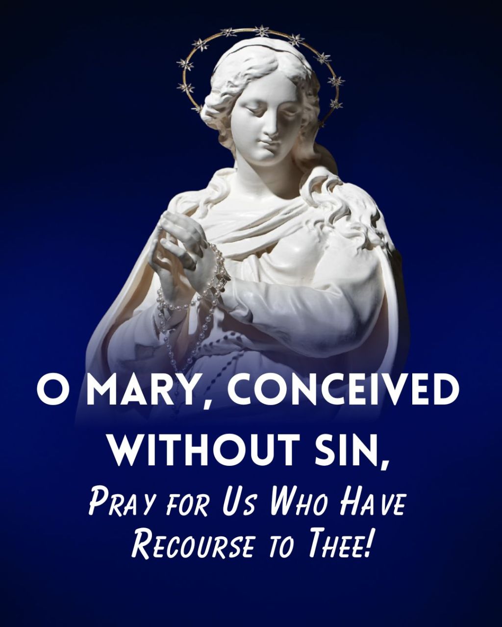 𝙏𝙃𝙀 𝙁𝙊𝙐𝙍 𝙈𝘼𝙍𝙄𝘼𝙉&nbsp;𝘿𝙊𝙂𝙈𝘼𝙎