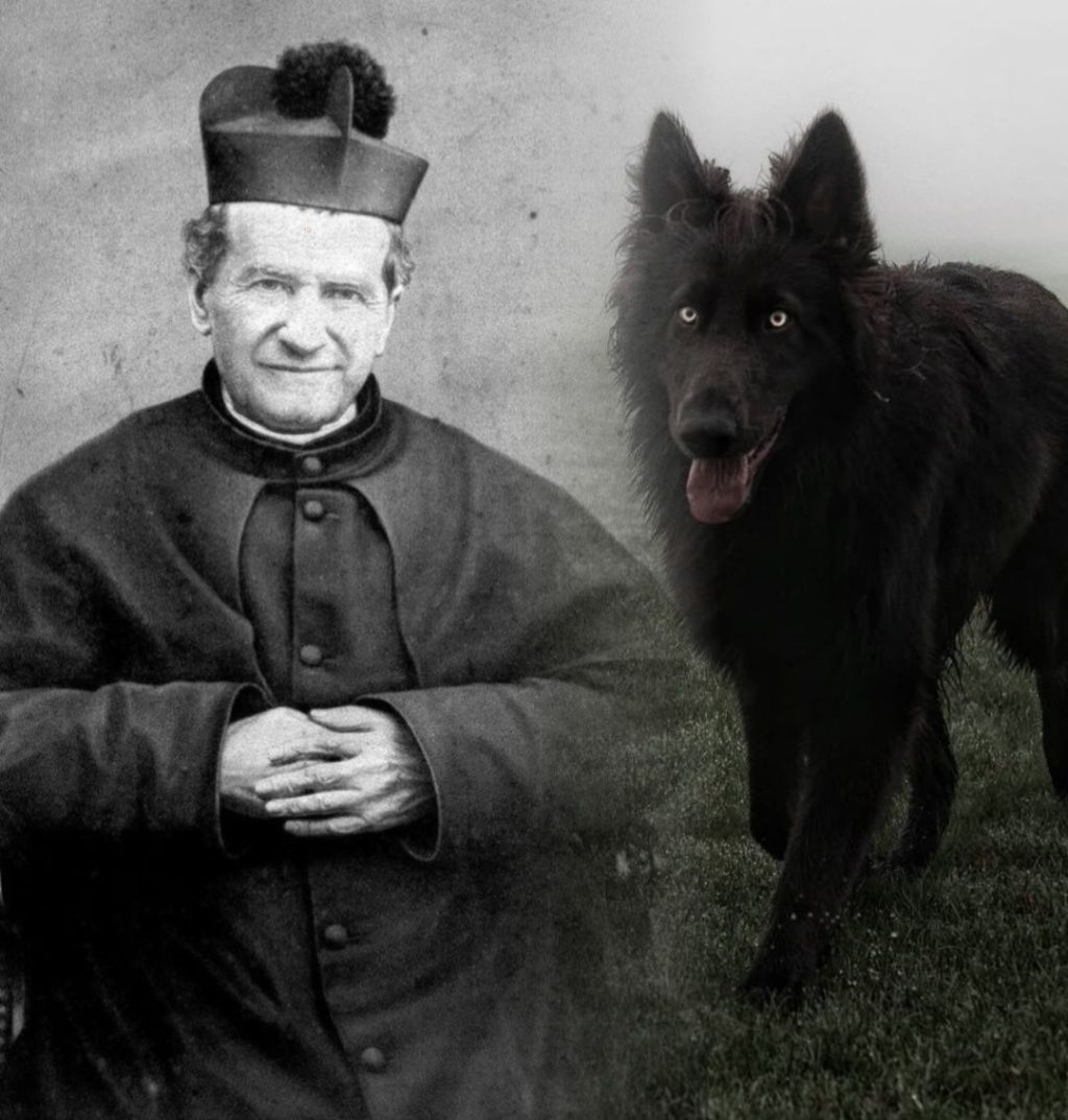 St. John Bosco and the mysterious dog “Grigio”