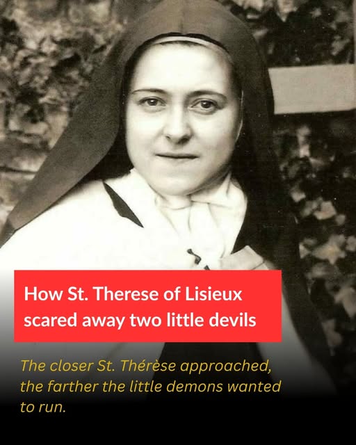 ๐๐จ๐ฐ ๐๐ญ. ๐๐กรฉ๐ซรจ๐ฌ๐ ๐จ๐ ๐๐ข๐ฌ๐ข๐๐ฎ๐ฑ ๐ฌ๐๐๐ซ๐๐ ๐๐ฐ๐๐ฒ ๐ญ๐ฐ๐จ ๐ฅ๐ข๐ญ๐ญ๐ฅ๐ ๐๐๐ฏ๐ข๐ฅ๐ฌ