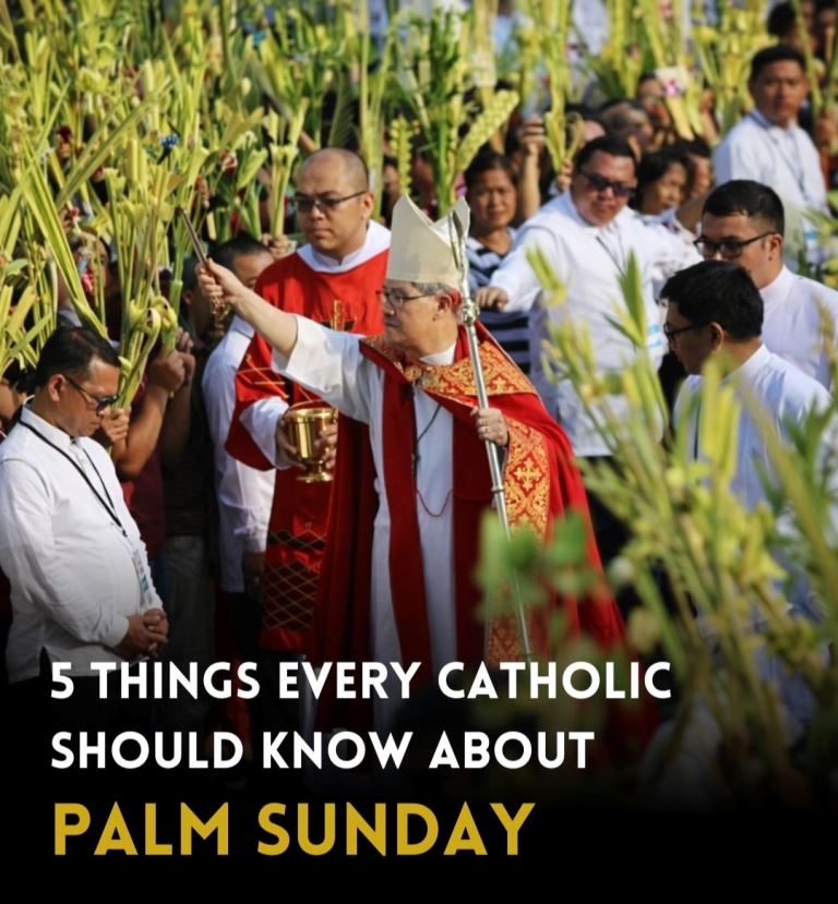 5 Things Every Catholic Should Know About Palm Sunday