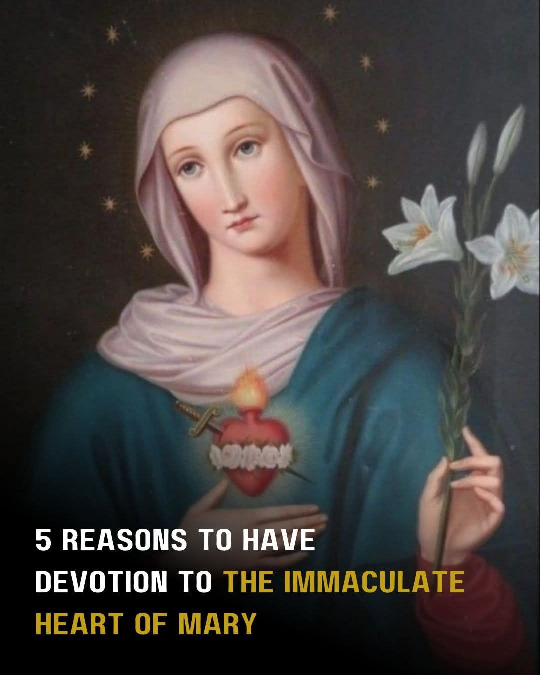 5 Reasons to Have Devotion to the Immaculate Heart of Mary